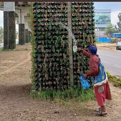 the5thKenya's profile picture. Kenyan by all rights.