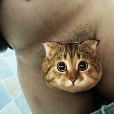 AirMS1069's profile picture. 成都 天府新区，165/85/33/S，INFP-T，开放关系，喜熊 
不太10，喜欢以各种玩具开发目标，喜欢虐阳，也喜欢互玩、农牛、互撸 
#sm #马眼棒 #导尿 #电击 #虐阳 #虐乳 #虐蛋蛋 #磨枪 #穿刺 #天体 #野裸 #刑虐 #体罚 #银粉