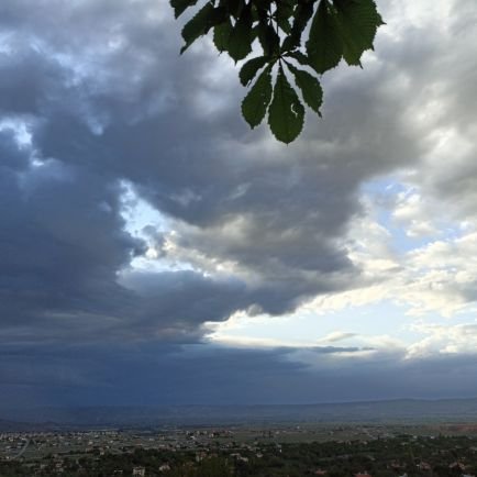 taha42318574's profile picture. 