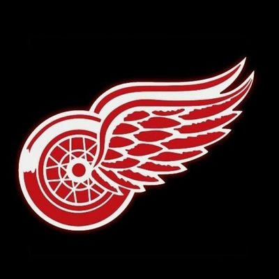 #LGRW • #Hockeytown • #Yzerplan
#Retire91 • Detroit Sports fan •
#GoGRG