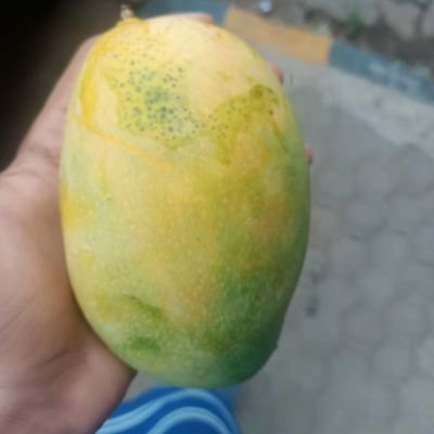 aahilahmed7676's profile picture. Suiii