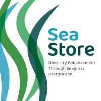 SeaStore - Diversity Enhancement Through Seagrass(@SeaStoreBaltic) 's Twitter Profile Photo