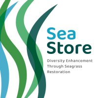 SeaStore - Diversity Enhancement Through Seagrass (@seastorebaltic) 's Twitter Profile
