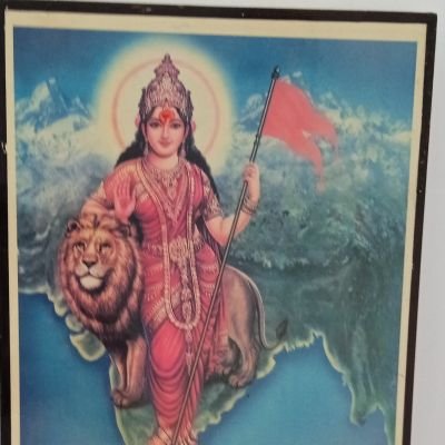 kalpesh43534811's profile picture. 