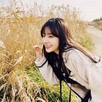 m saw red velvet 🥹💛(@baechoorene) 's Twitter Profile Photo