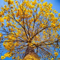 Olivier Vandeginste (@dozenove) 's Twitter Profile Photo