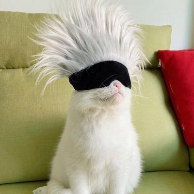 woodyychengg's profile picture. 