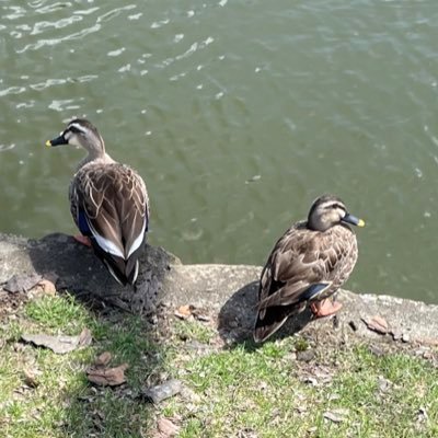 mimi_kwm0529's profile picture. 看護学生 ミステリー ファンタジー １週間１冊生活 面白い小説教えてください 気軽にフォローよろしくお願いします