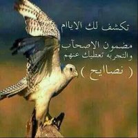 اصقر اليماني (@almqra) Twitter profile photo
