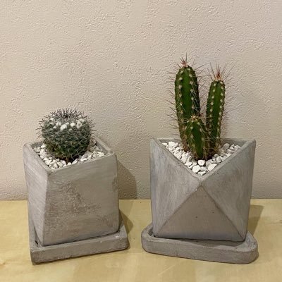 ommiye's profile picture. ゲームと自然がすき🌊🌿🎮🌅｜主に食べもの(お酒)と仕事の気づきを呟いてます