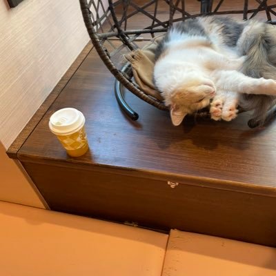 tensei20040301's profile picture. もう同志社 🚹 ミセスとセカオワ好きです