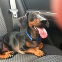 Becky Greer - @beckylucile - Twitter