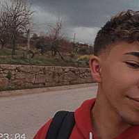Gui 🐺 (@_guisilva_17) 's Twitter Profile