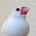 popi (@microeriko) Twitter profile photo popi (@microeriko) Twitter profile photo