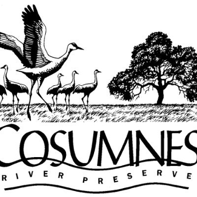 CosumnesRiverP's profile picture. The Cosumnes River Preserve is centered along the Cosumes River, its floodplains, and riparian habitat. To contact: (916) 684-2816 or email info@cosumnes.org