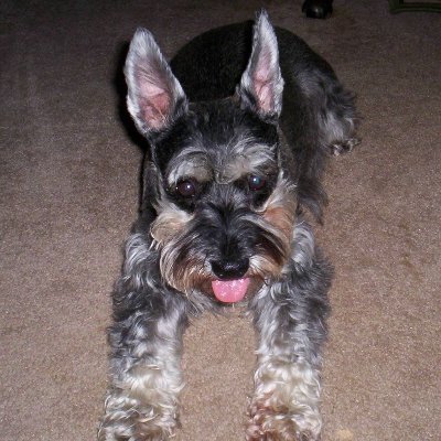 Evelyn31721's profile picture. retired Pharmacist . 
I thought everything was great until March 2020.   I should have been paying more attention.
Former Independent  -  Now Conservative.