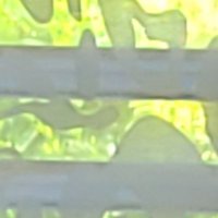 Hello (@atallsteve) 's Twitter Profile