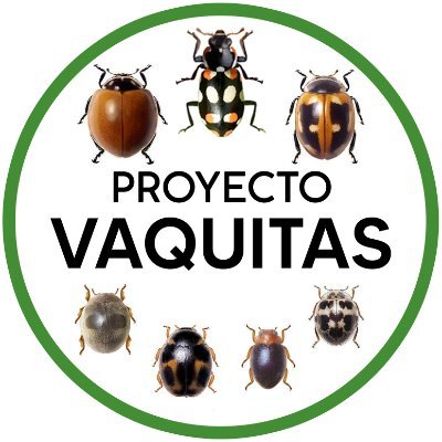 Proyecto de #CienciaCiudadana para registrar vaquitas de San Antonio (Coccinellidae) en Argentina.
@InsideNatGeo
https://t.co/eI5bI72iVP