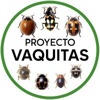 Proyecto Vaquitas 🐞🇦🇷(@pvaquitas) 's Twitter Profile Photo