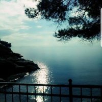 Fatma Nur (@karnasnurr) 's Twitter Profile Photo