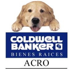 BienesRaicesMxo's profile picture. Realtor with Coldwell Banker, doing business.