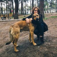 🌚 (@zeyjpg) 's Twitter Profile Photo