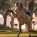 mahmoud yassin (@mahmoud95843740) Twitter profile photo mahmoud yassin (@mahmoud95843740) Twitter profile photo