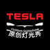TeslaLightShow (@Tesla_Lightshow) Twitter profile photo