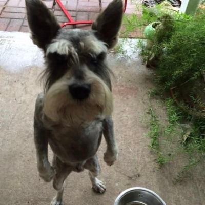 GloryfnY's profile picture. Was machen Sachen