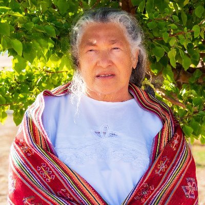 I am a Curandera Espiritu, a healer of the divine spirit, and one of the founding members of the International Council of Thirteen Indigenous Grandmothers.