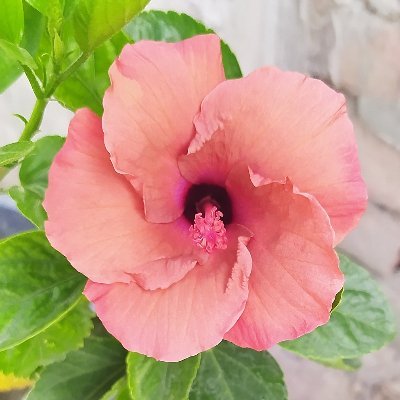 RAM05736997's profile picture. Iam Male. I like Everyone should be happy in their personal and private life. No one to be suffered.