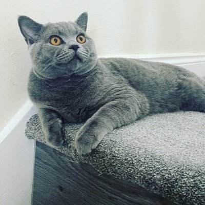 AnnaBrannigan3's profile picture. 