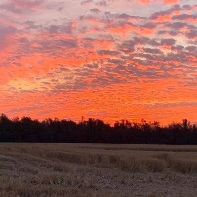 Cirelem's profile picture. Raising crops #SEMO. Sarcasm and views my own!