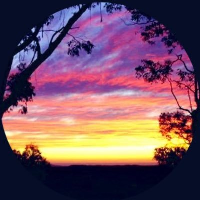 swing__trader's profile picture. بكالريوس اداره اعمال ، جامعه الامام عبدالرحمن الفيصل