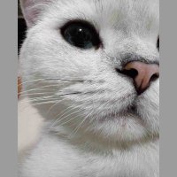 Tafatyuya (@tafatyuya3) 's Twitter Profile Photo Tafatyuya (@tafatyuya3) 's Twitter Profile Photo