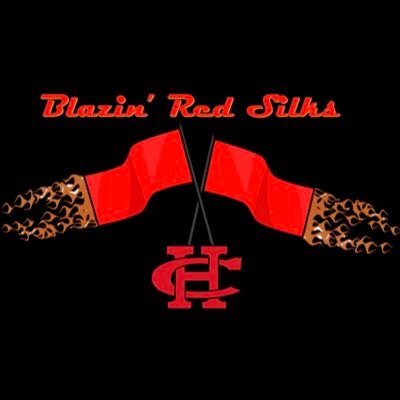 BlazinRedSilks's profile picture. https://t.co/NpOZZy09j4