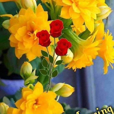 NayakaBheemesh's profile picture. 