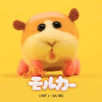 ゆいはん (@yuihan_063611) Twitter profile photo