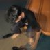 pg (@mrlhfzi) Twitter profile photo pg (@mrlhfzi) Twitter profile photo