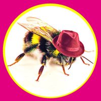 ᗷᑌᗰᗷᒪY 🐝 ᗷEE(@BumblyBee8) 's Twitter Profile Photo