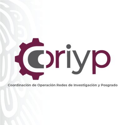 Promover y establecer las bases y metodologías para crear y operar las redes de la investigación y el posgrado.