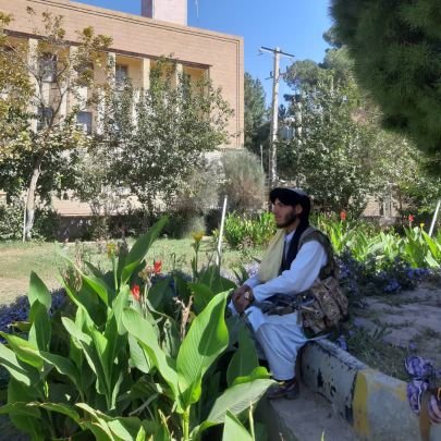 دافغانستان اسلامی امارت
