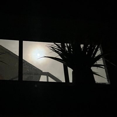 maameesie's profile picture. 21st century misandrist