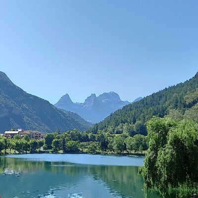 Crétin des Alpes et fier...
Politique,gaming,humour.montagne.
En ski je te marave cherche pas.