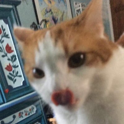 Marieさんのプロフィール画像