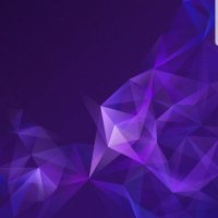 Shadialqudsi (@shadialqudsi2) 's Twitter Profile