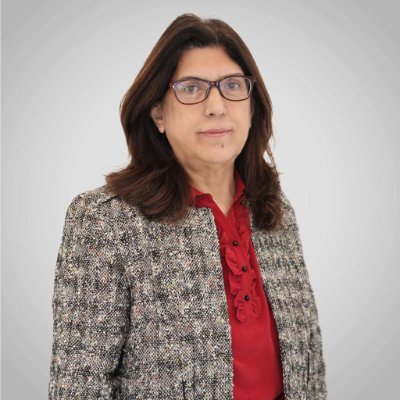 زويا جريديني روحانا ناشطة اجتماعية نسوية ومديرة منظمة
