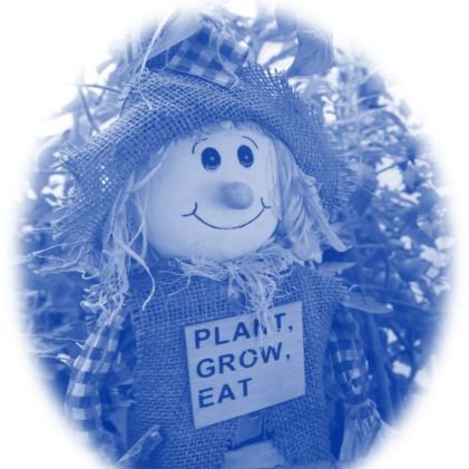 The Hub, Alexandra Park
🥕A place to learn
🥕Safe & supported volunteering
🥕Growing fresh local produce for Oldham Foodbank
🥕Improving health & wellbeing