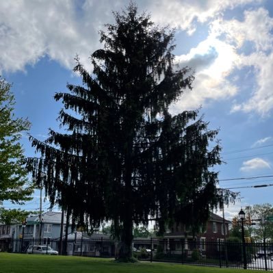 Melissa83312480's profile picture. 