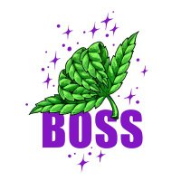 thecanniBOSS (@thecanniboss) 's Twitter Profile